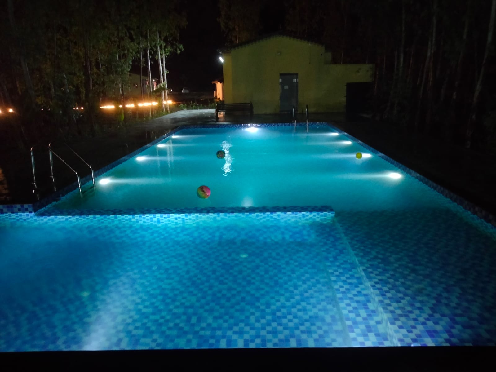 Guests at City Flora Tiger Resort