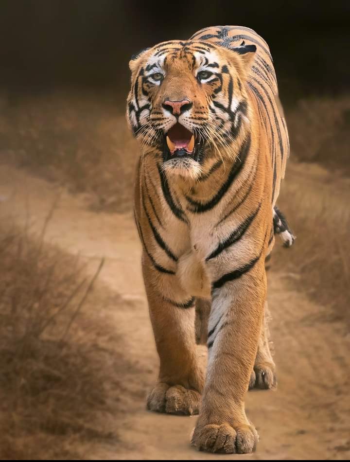 Resort moments