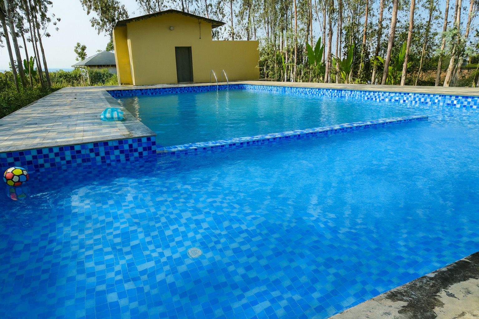 Guests enjoying the swimming pool